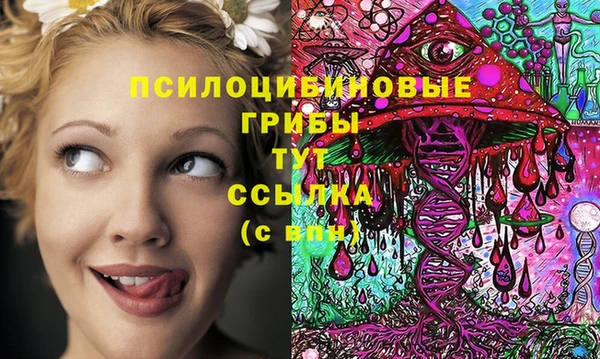 первитин Белоозёрский