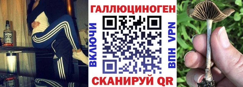 Псилоцибиновые грибы Psilocybine cubensis  Боровск 
